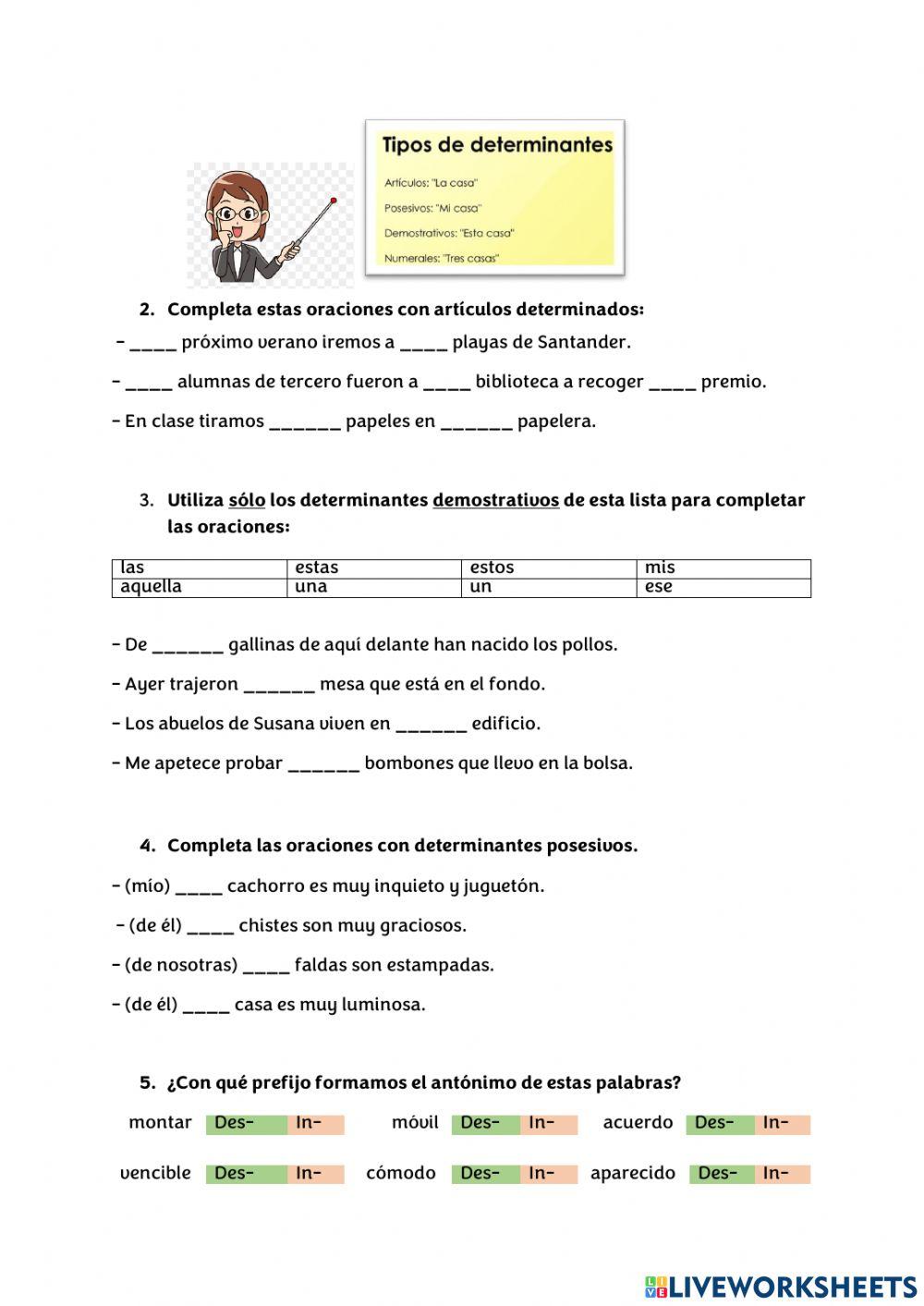 Lengua Castellana P1