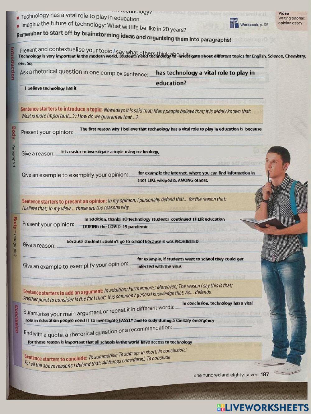 Opinion Essay example