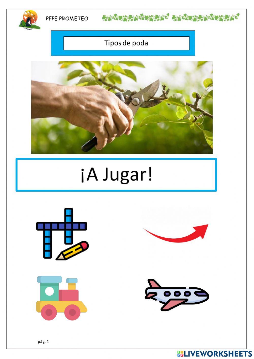 Juegos Tipos de poda