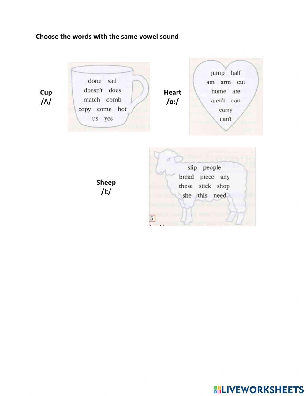 -i-, -i:-, -e-, -ae-, ---, -a:-,