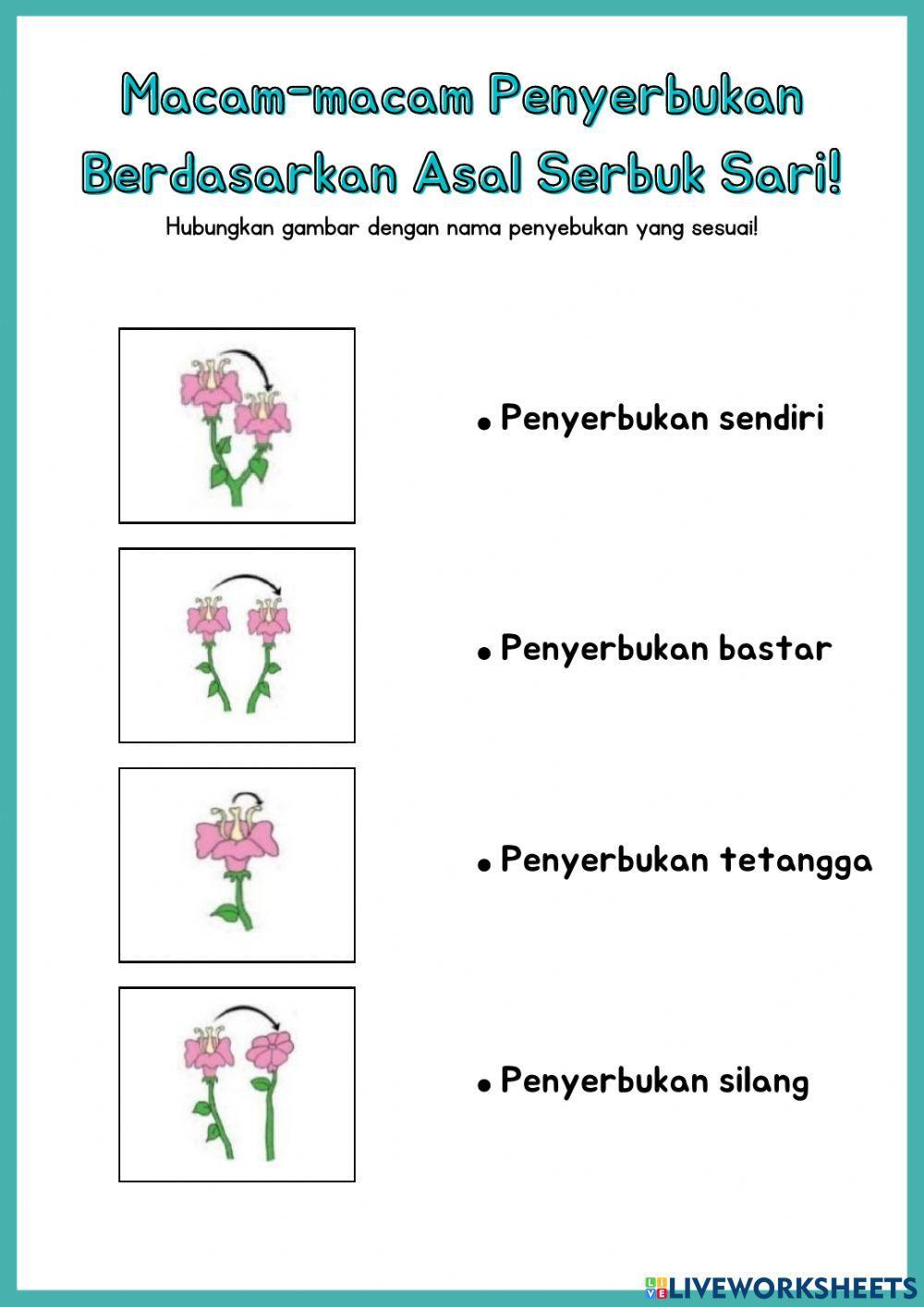 LKPD IPA Kelas 5 SD (Perkembangbiakan generatif pada tumbuhan)