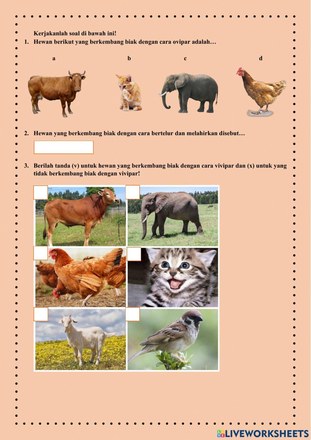 E-lkpd ipa kelas 6 tema 1 subtema 2