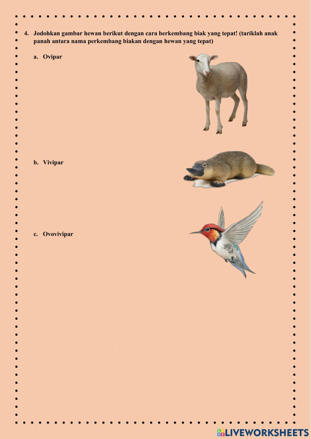 E-lkpd ipa kelas 6 tema 1 subtema 2