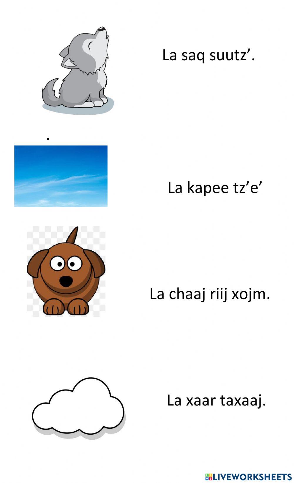 La naturaleza en poqomam