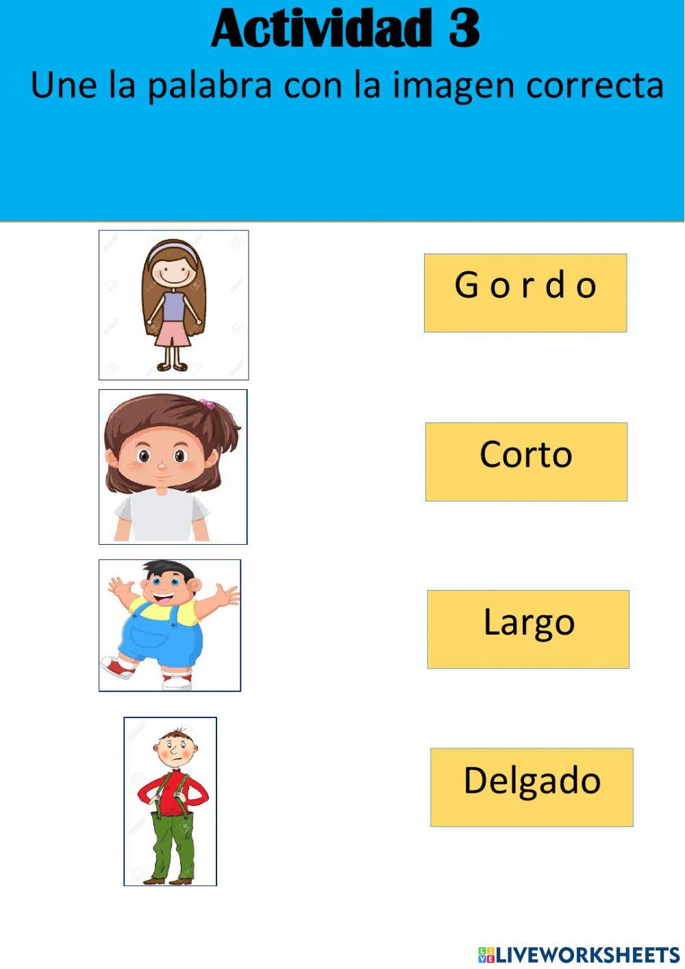 Características físicas