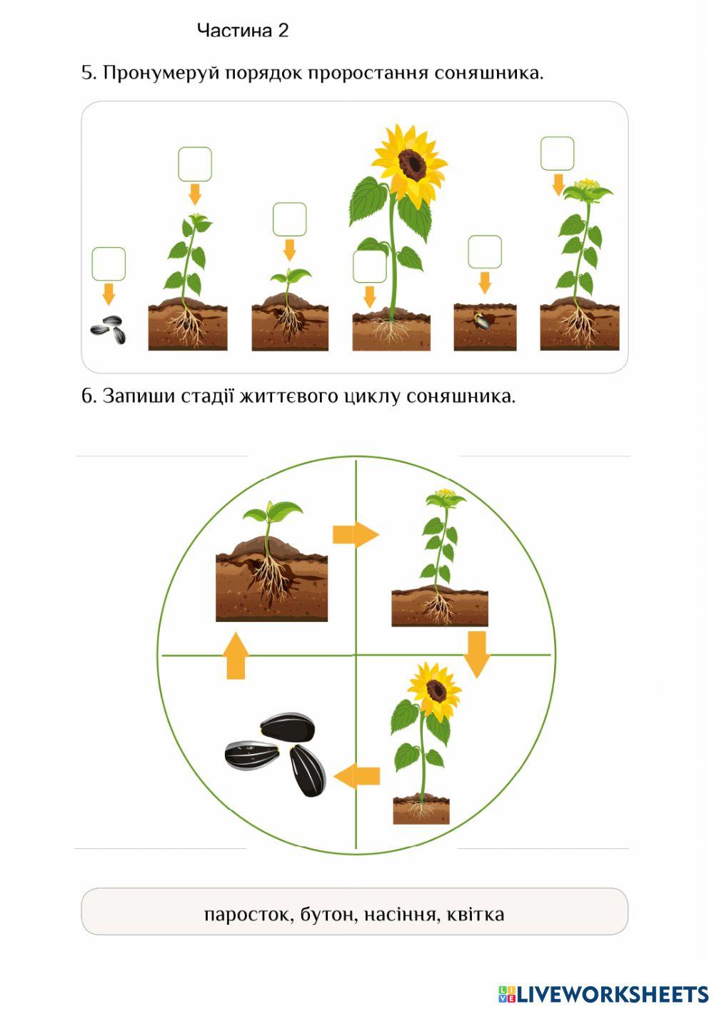 ЯДС Ч.2 Діагностувальна робота
