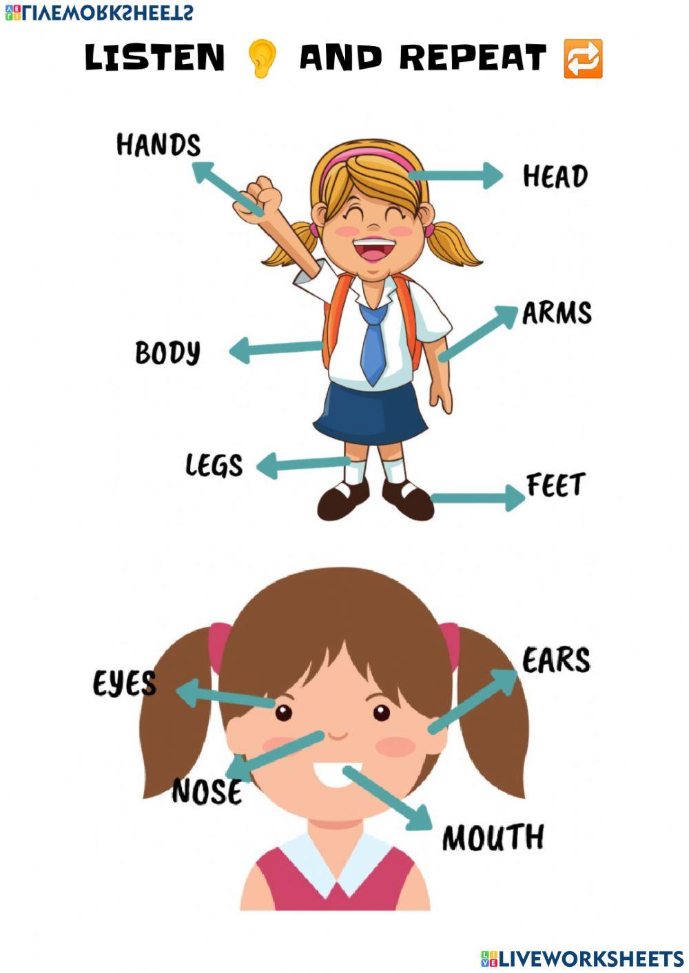 body-parts-online-exercise-for-2-live-worksheets