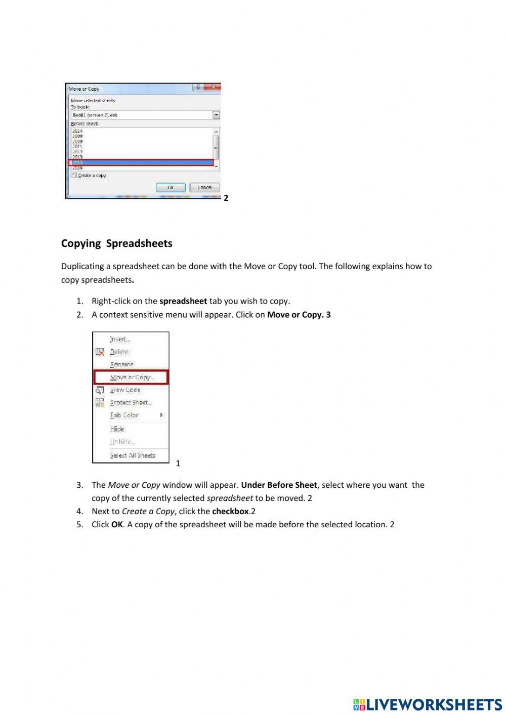 Lesson 3 Spreadsheet Columns Copying and Hiding