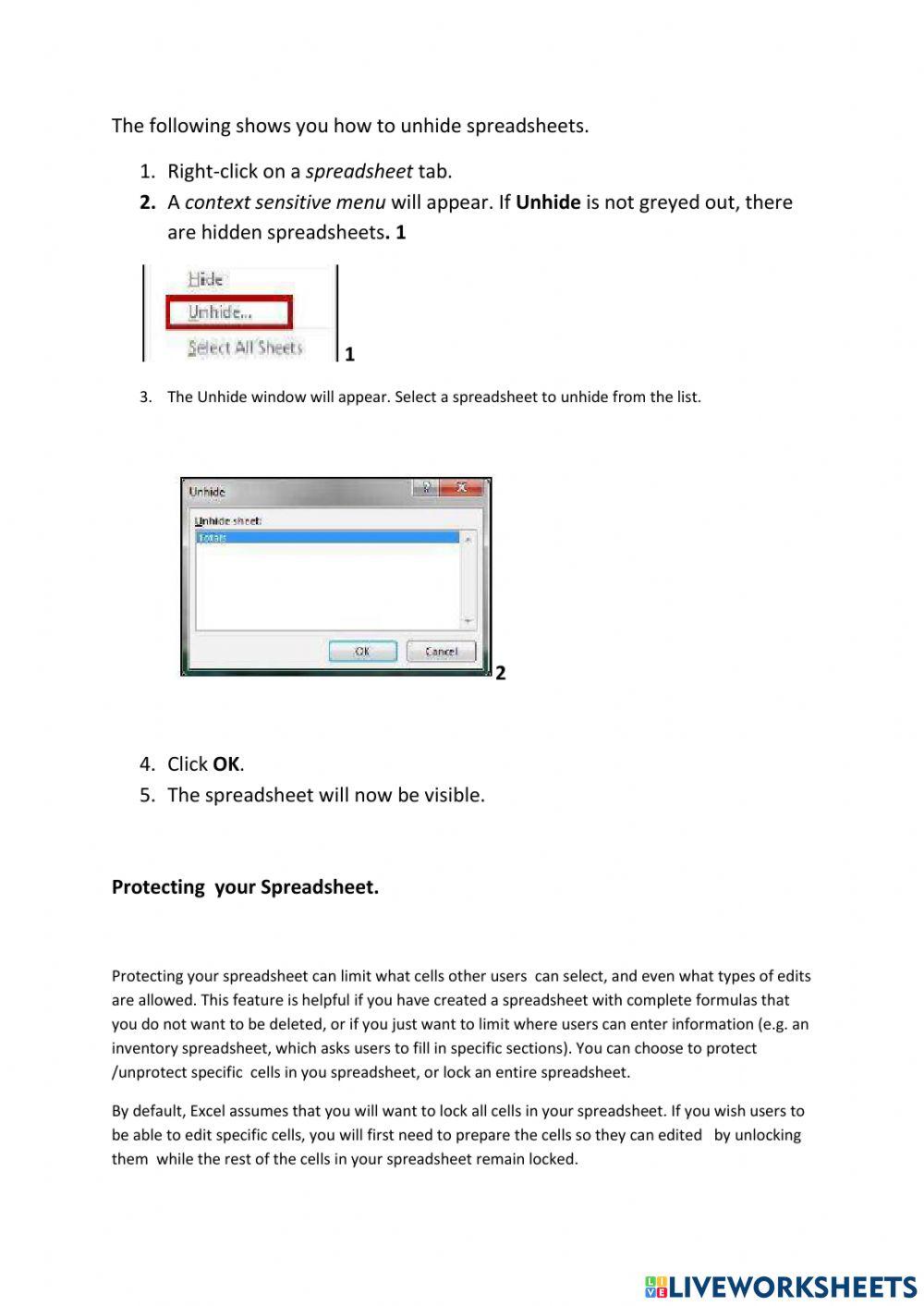 Lesson 3 Spreadsheet Columns Copying and Hiding