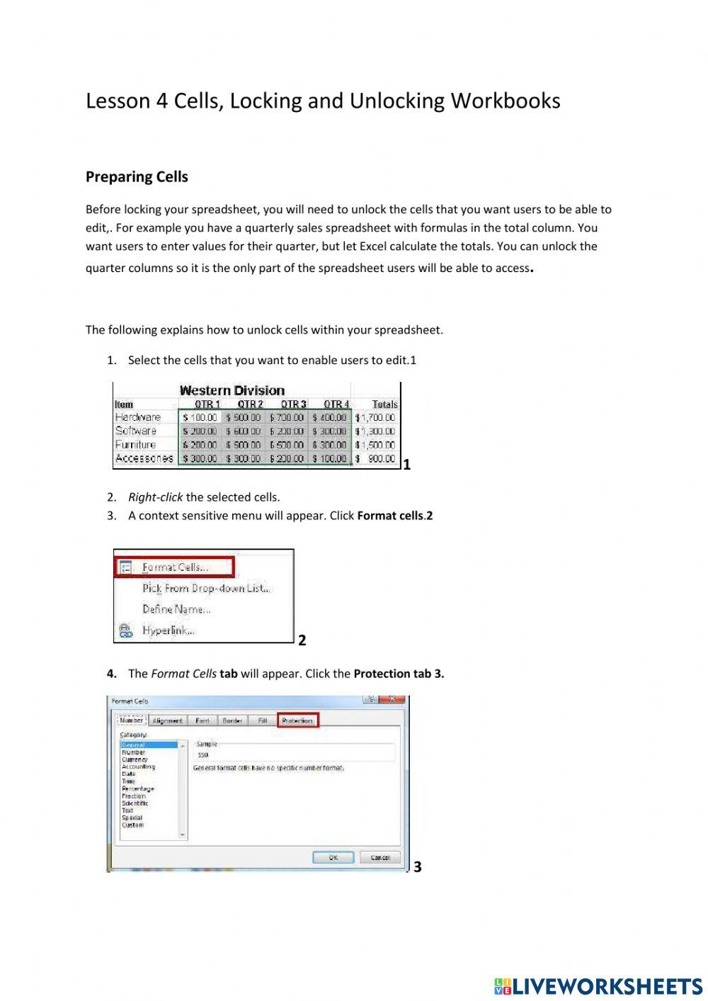 Lesson 4 Cells Locking and Unlocking Workbooks