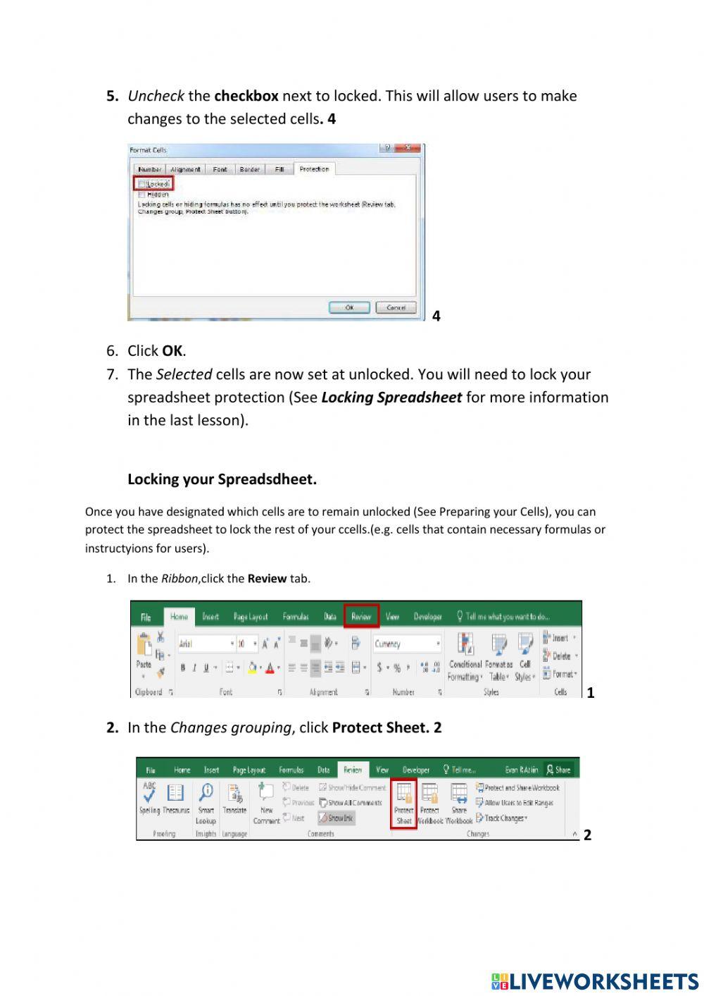 Lesson 4 Cells Locking and Unlocking Workbooks