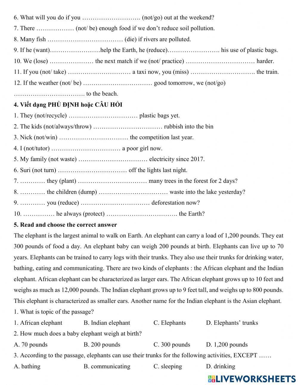 Group 5 - Tenses review