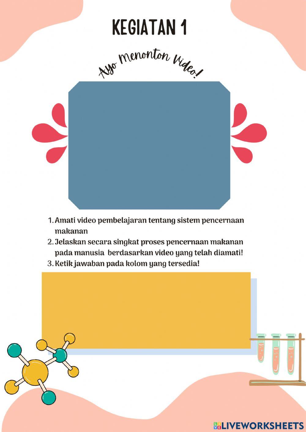 Sistem Pencernaan Manusia