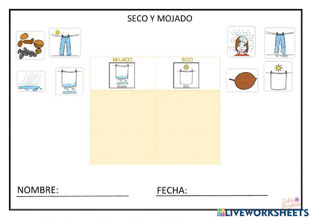 Seco y mojado