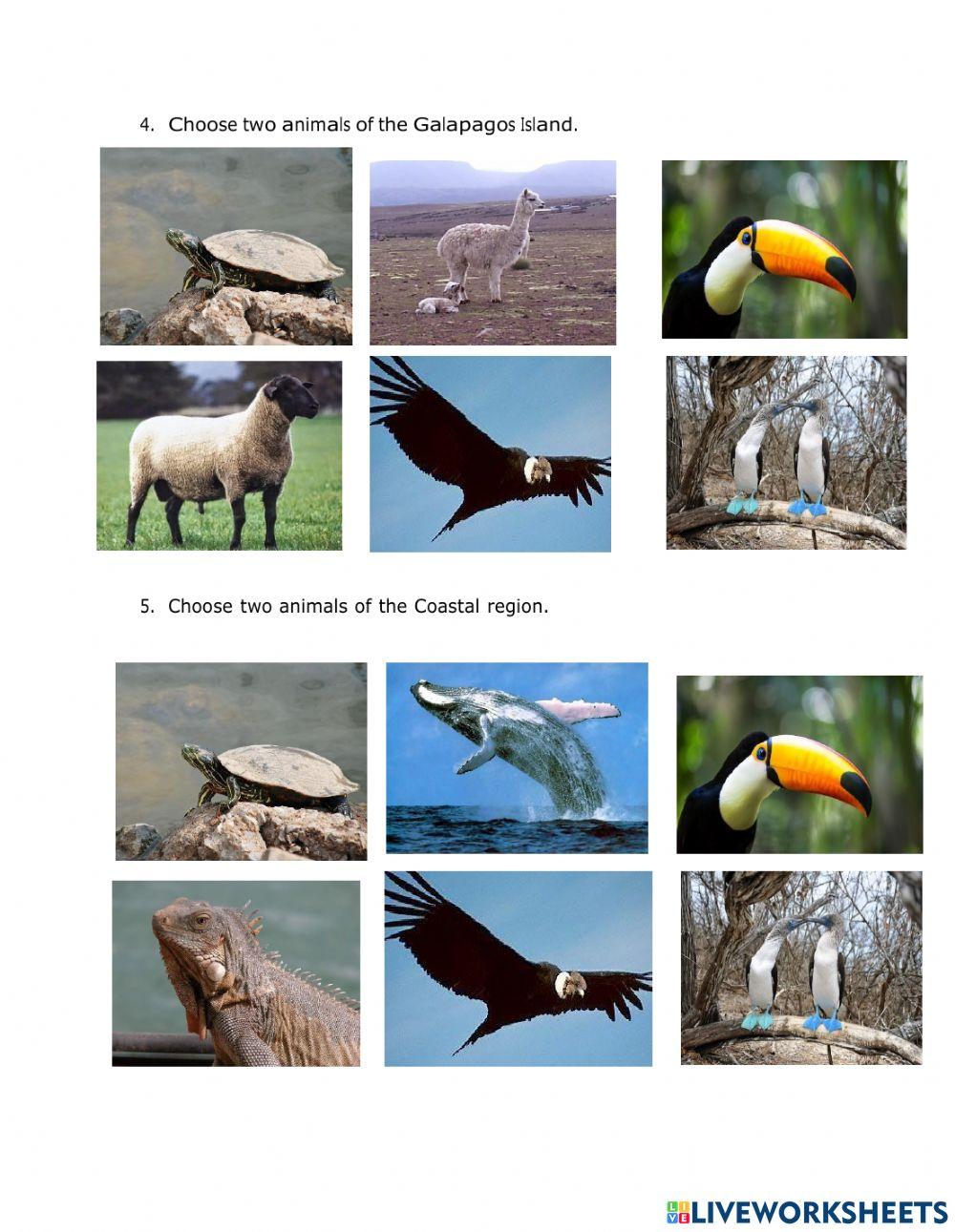 Ecuador Landforms and Regions