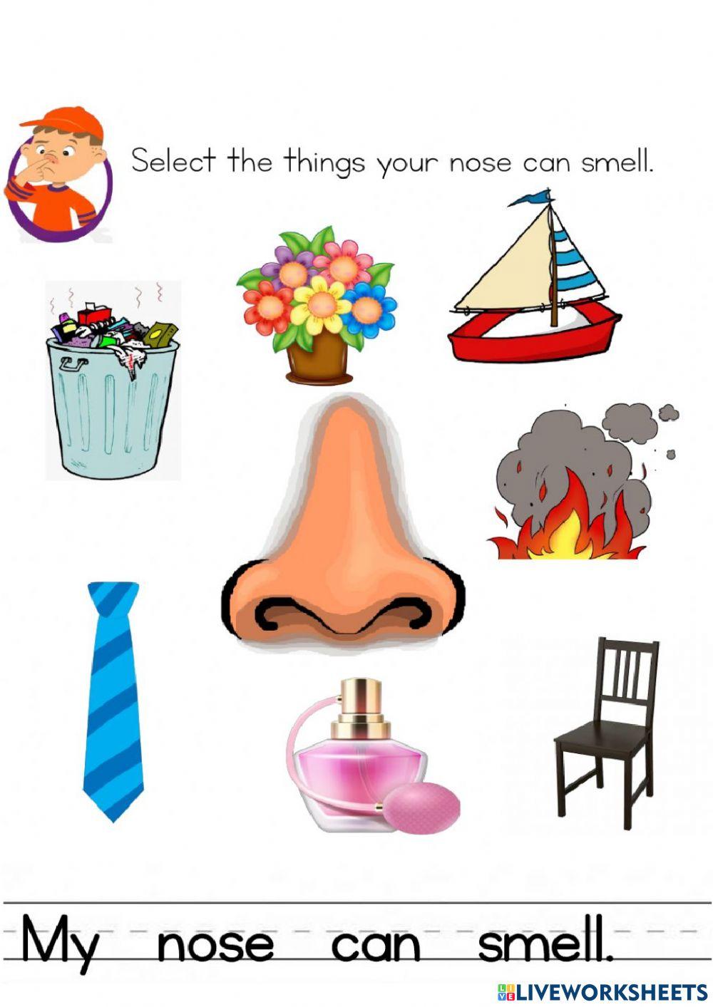 Smell sense