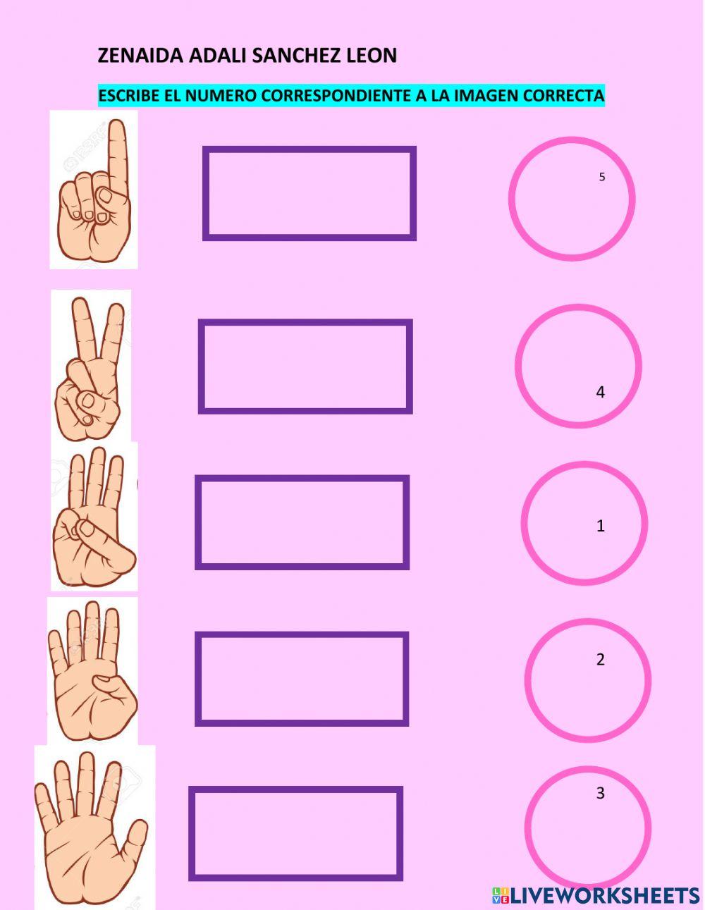 Los numeros online exercise for 1 RO PRIMARIA | Live Worksheets