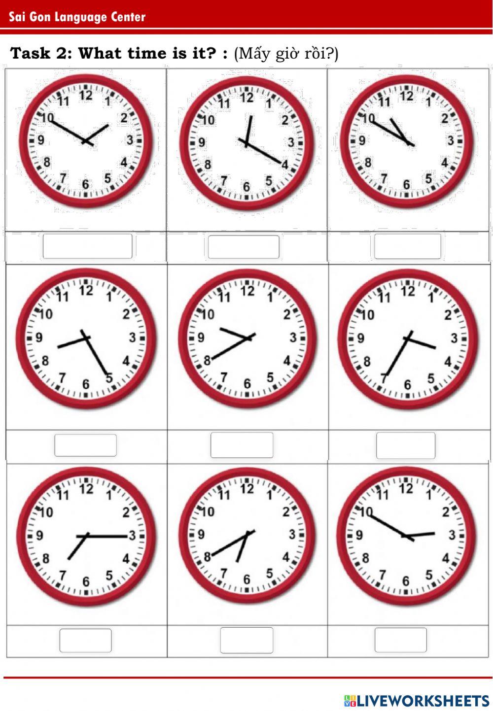 FFS2 - Unit 8 - Marrow (28-5-2022)