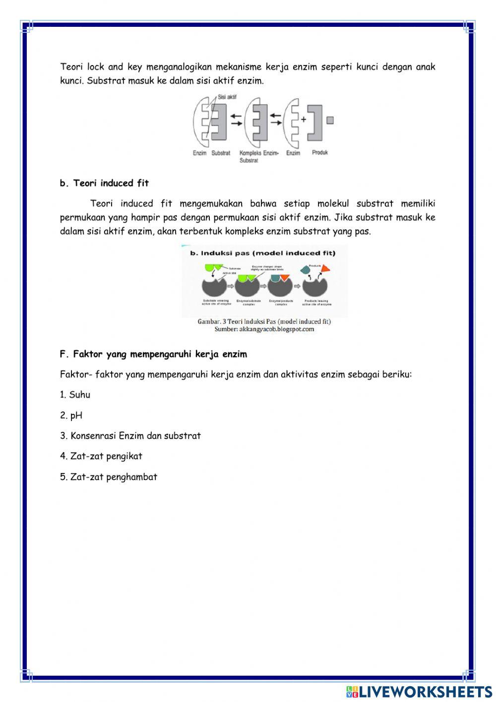 Metabolisme 1: Enzim