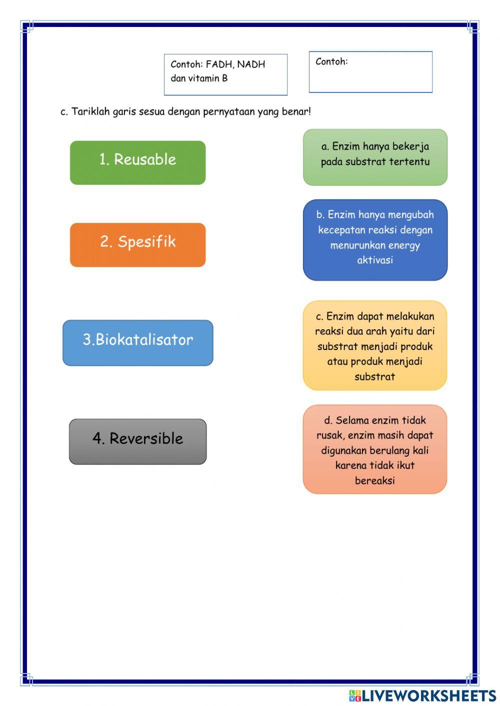 Metabolisme 1: Enzim