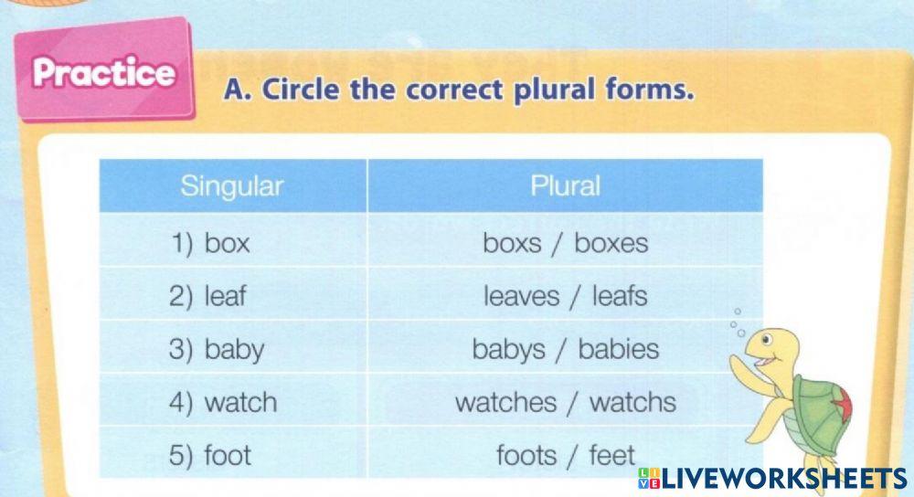 Circle the correct plural forms.2