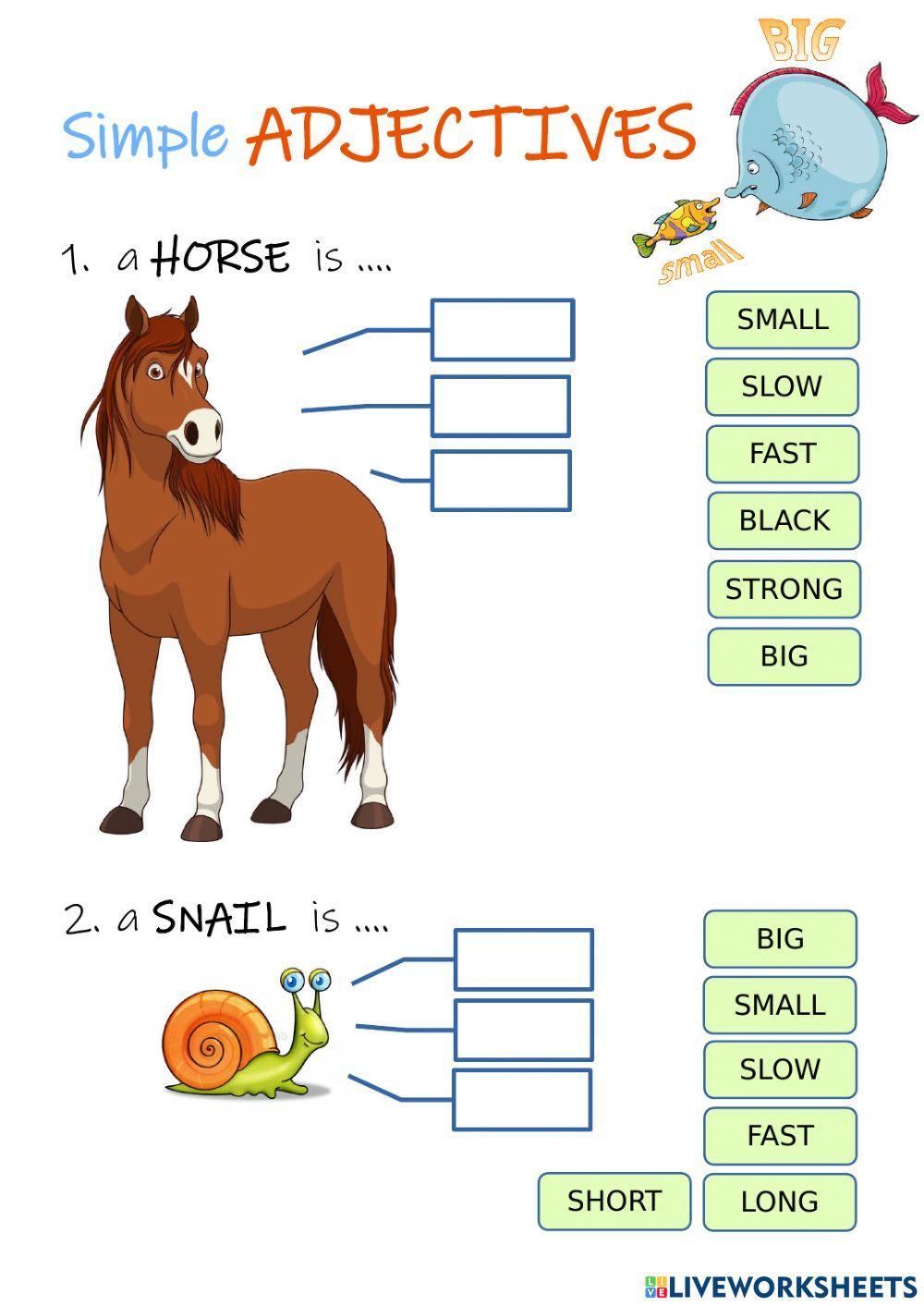 Adjectives Adjectives