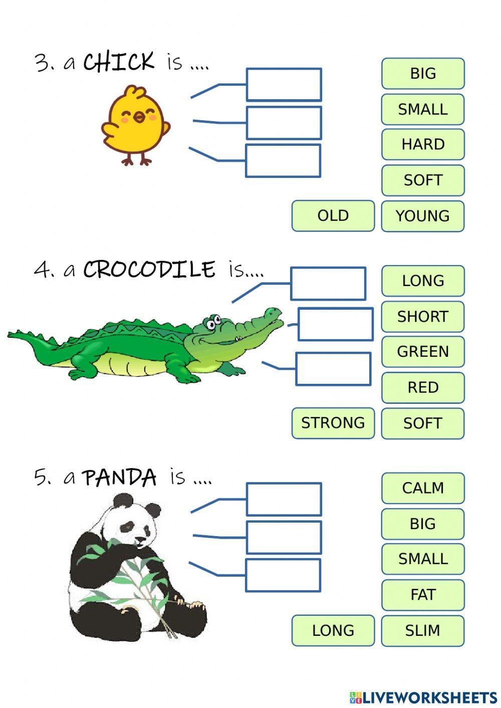 Adjectives Adjectives