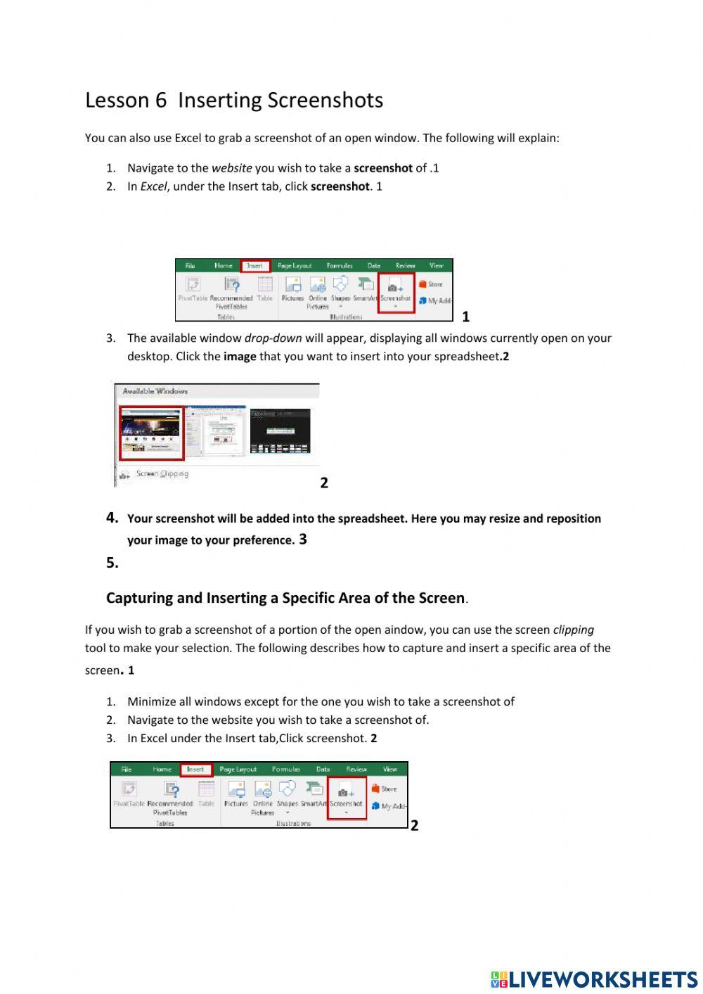 Lesson 6 Inserting Screenshots