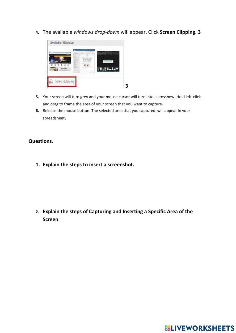Lesson 6 Inserting Screenshots