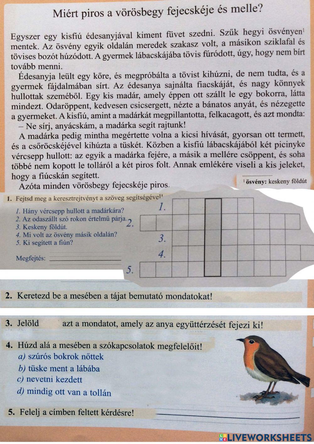 Vörösbegy - szövért