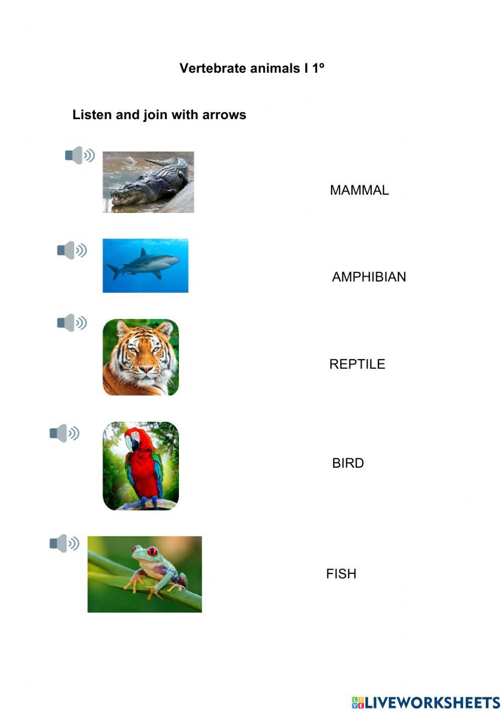 Vertebrate and invertebrate animals I 1º