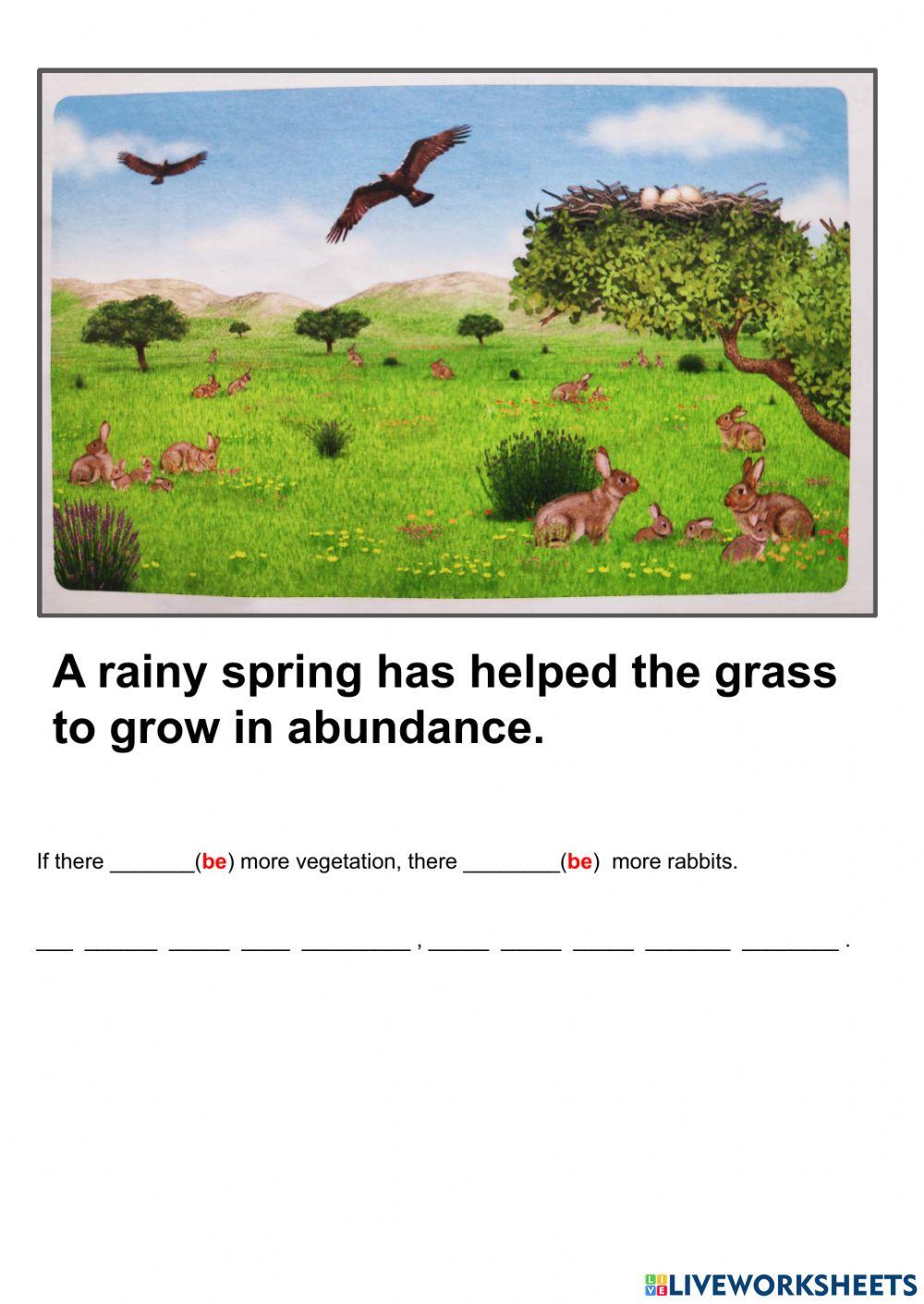 Food Webs - Chains (1)