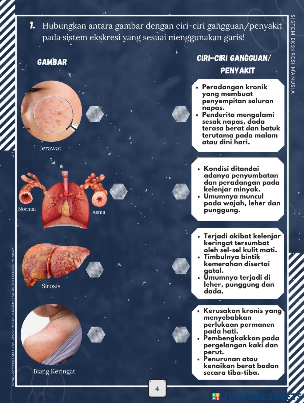 LKPD Elektronik Berbasis Inkuiri Terbimbing Materi Sistem Ekskresi Manusia 2