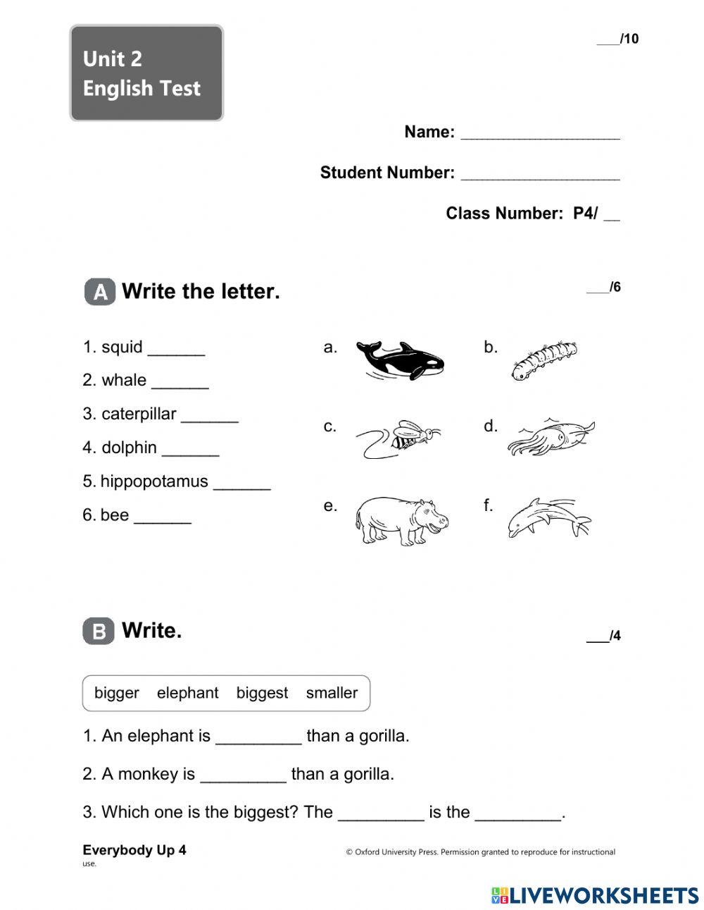 P4 English Unit 2 Test (BT 2)