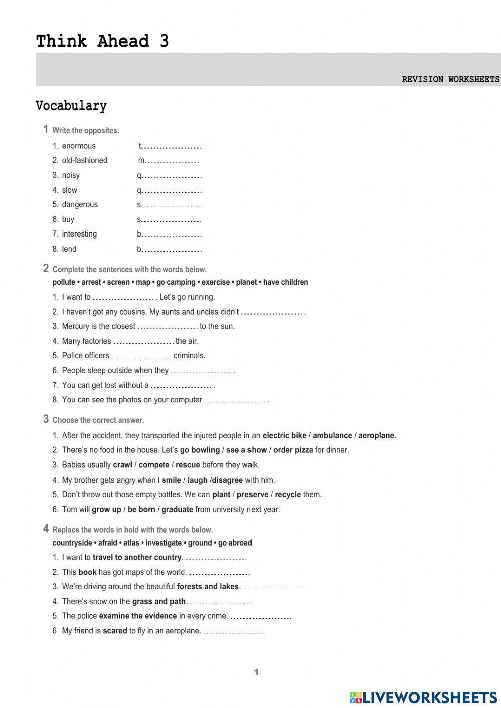 Grammar and Vocabulary Review Think Ahead 3