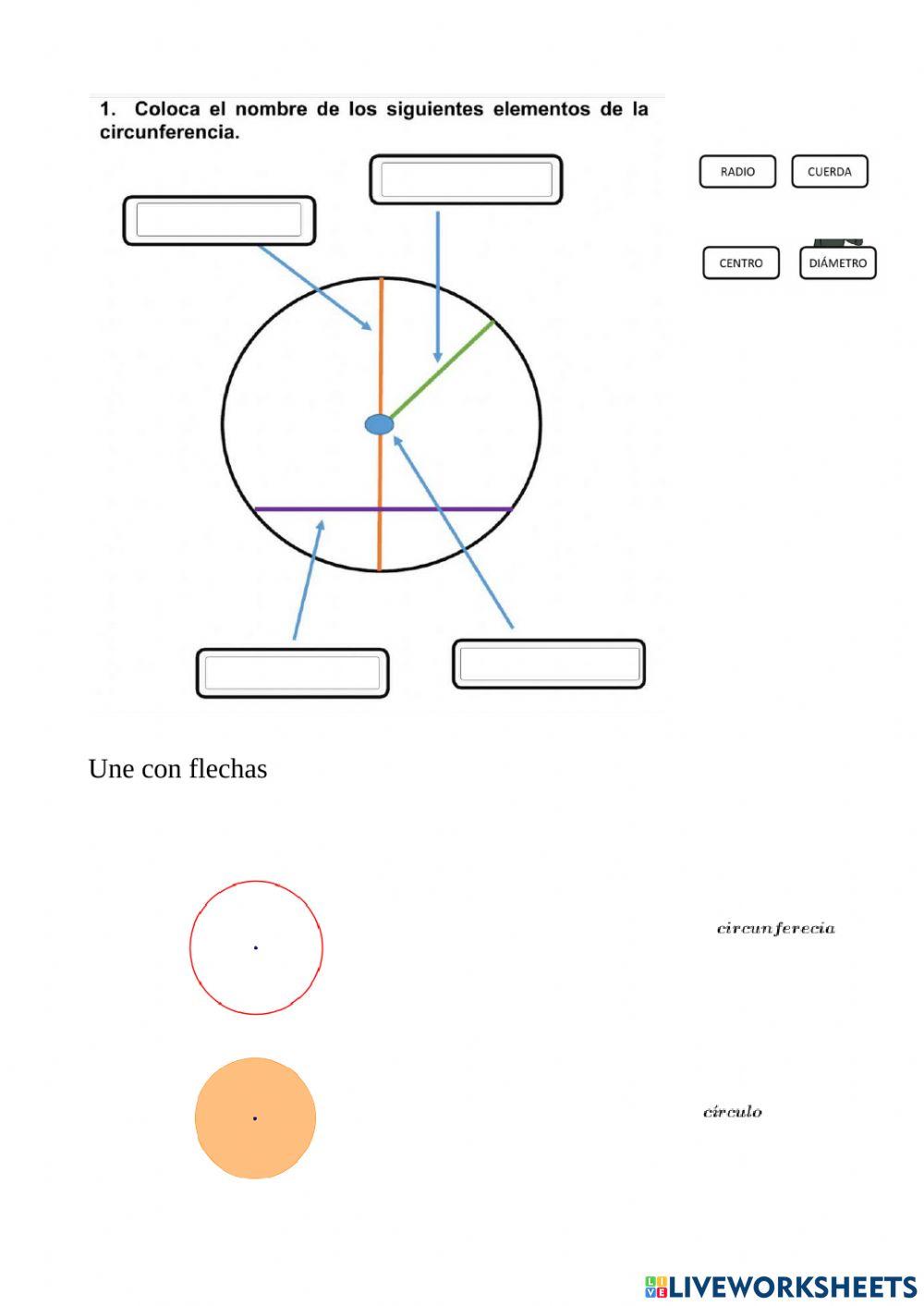 Polígonos y poliedros