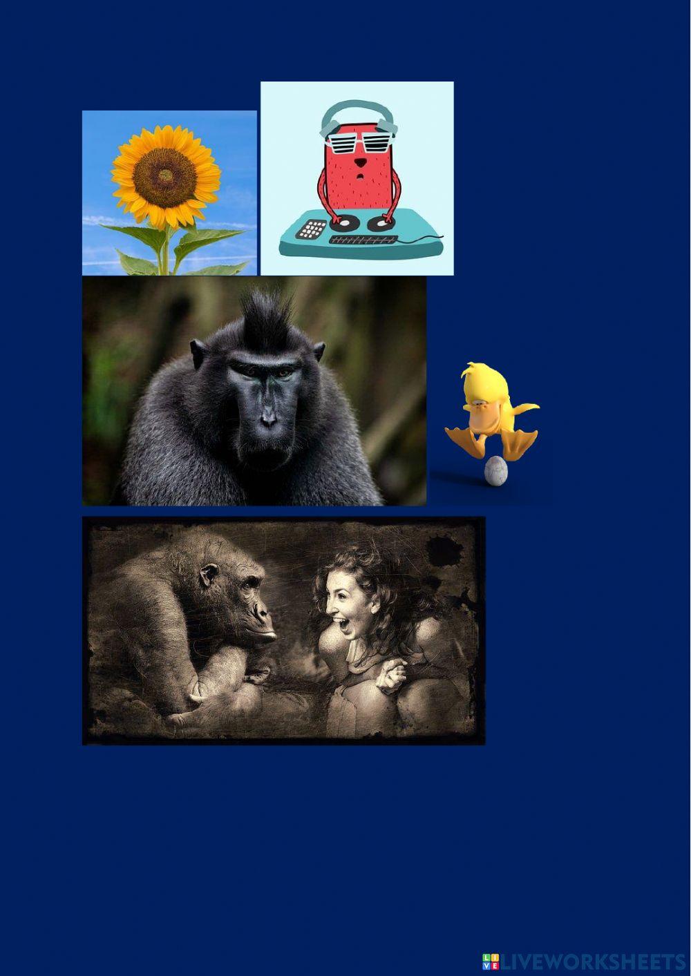 ANG 8 PROJECT 4 UNIT 5C GREEN QUIZ - drag and drop