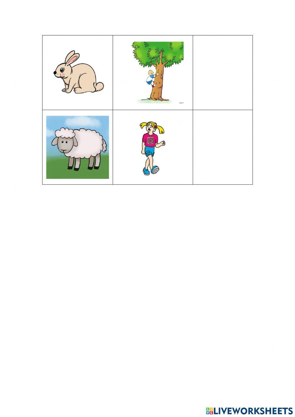 Can or can't animals...?