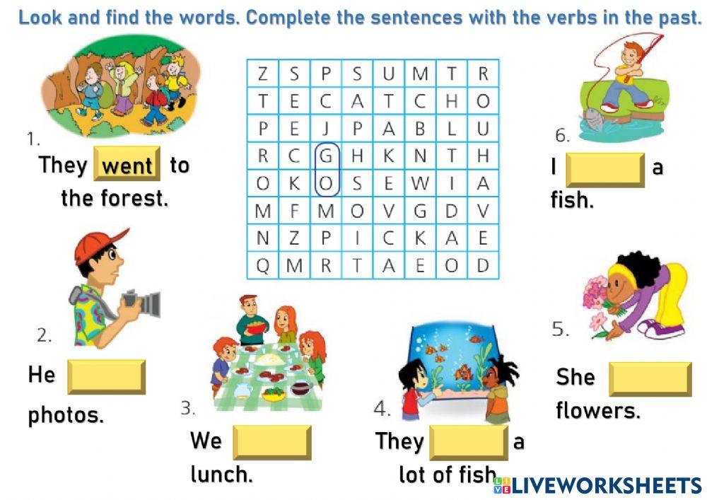 On holiday in the forest