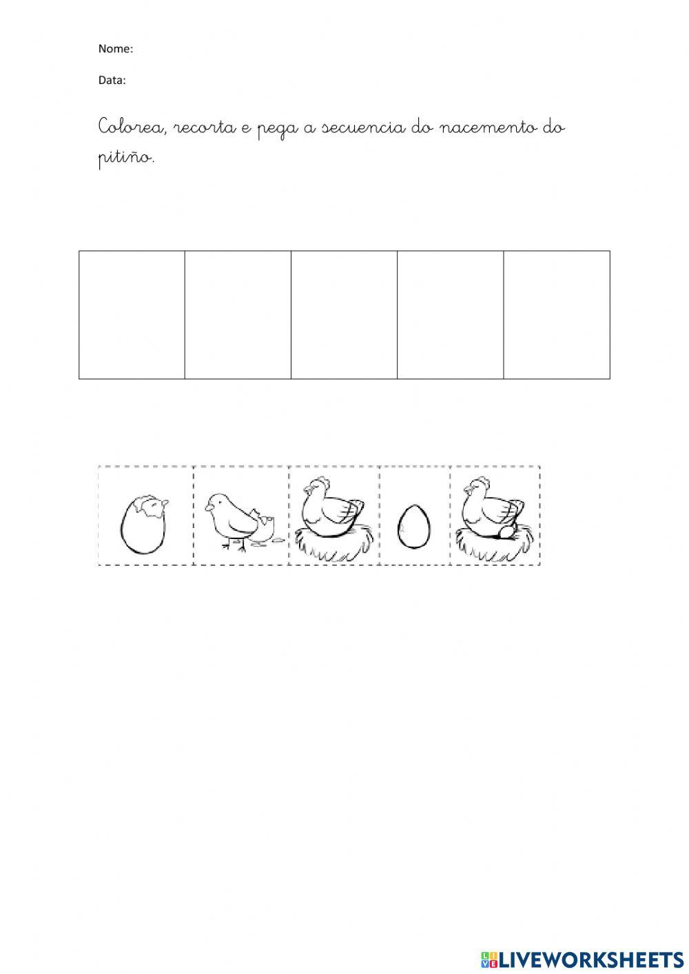 Como nacen os pitiños