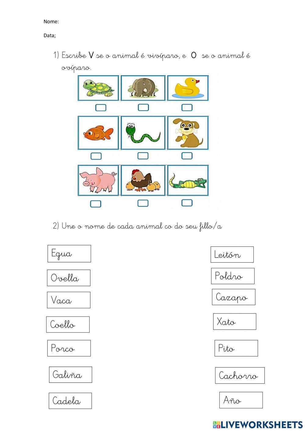 Animais ovíparos e vivíparos