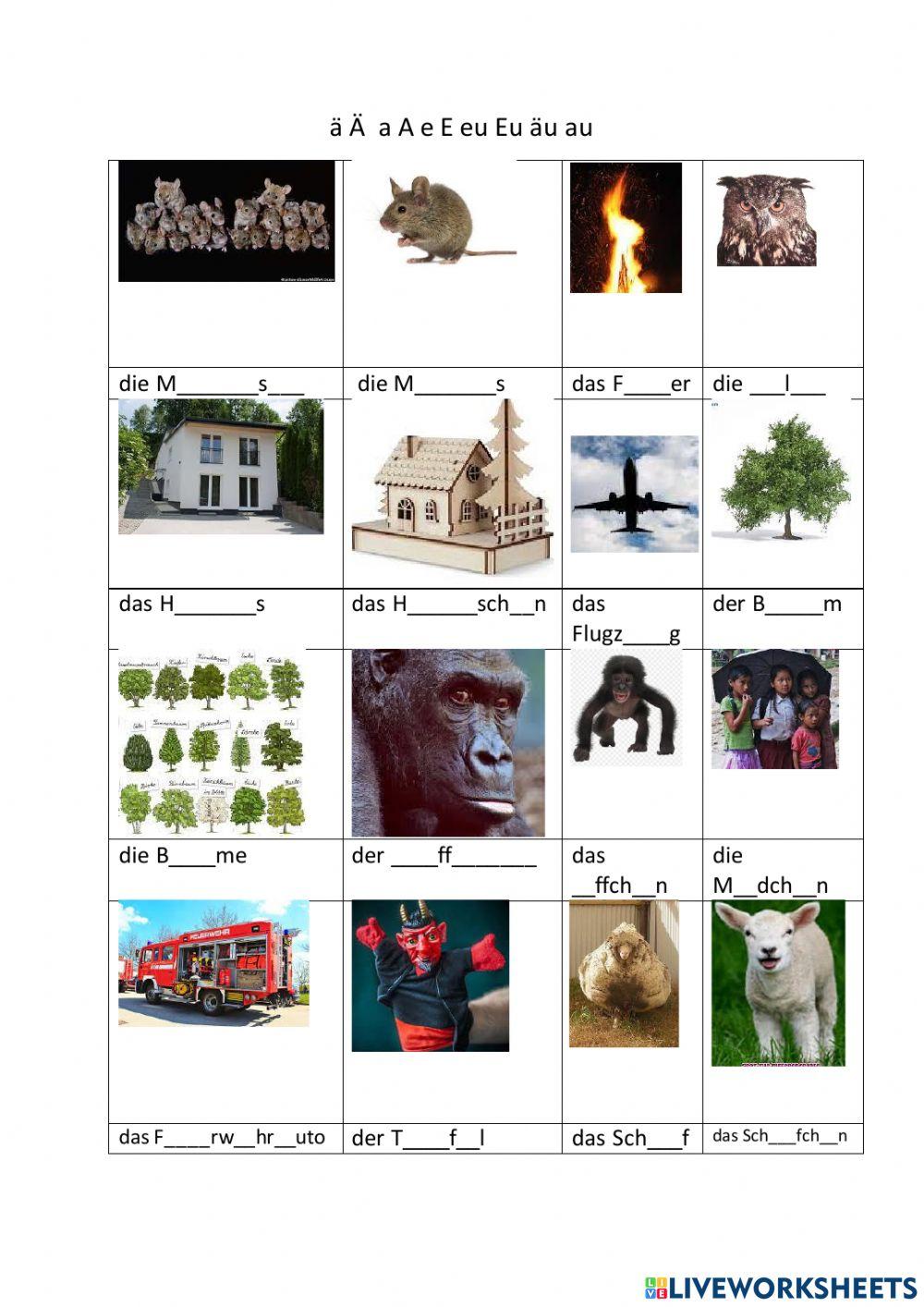 Rechtschreibübung für Anfänger