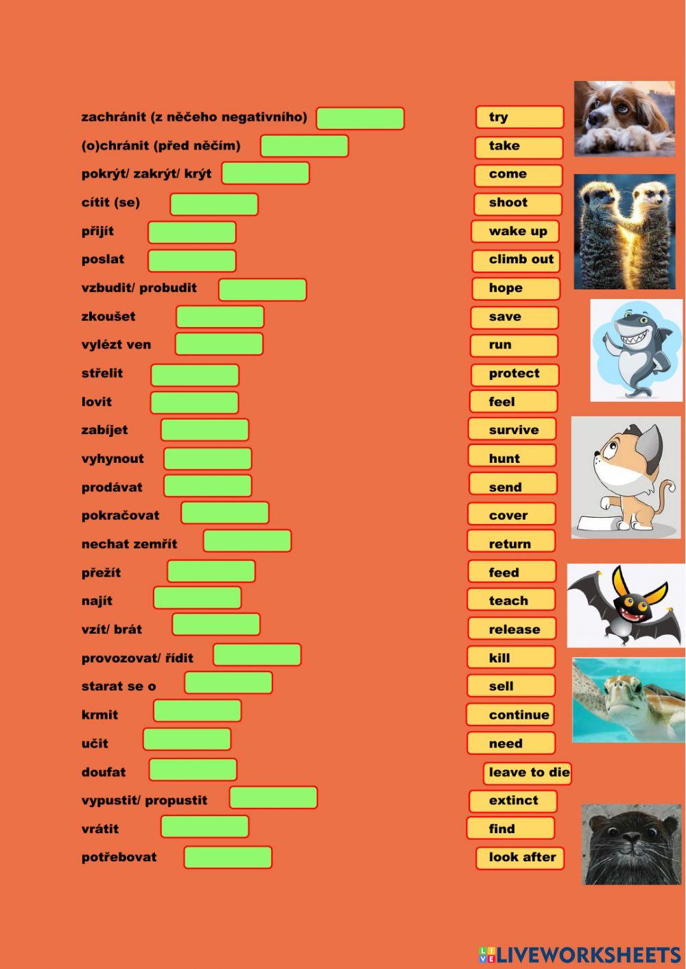 ANG 8 - PROJECT 4 UNIT 5C - slovesa - překlad