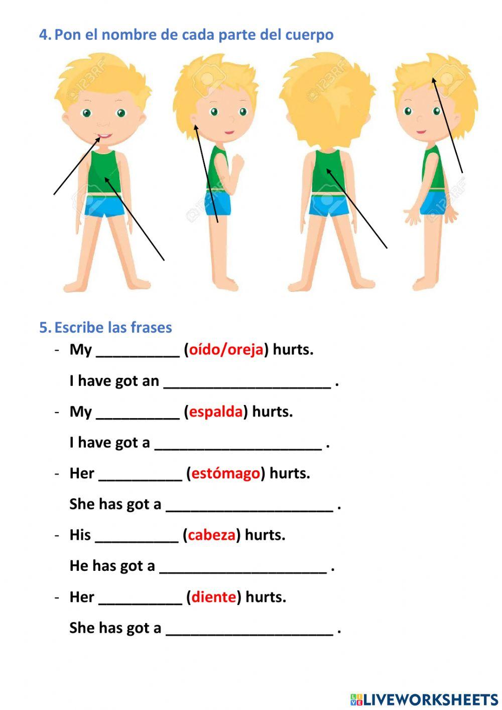 Body parts and diseases