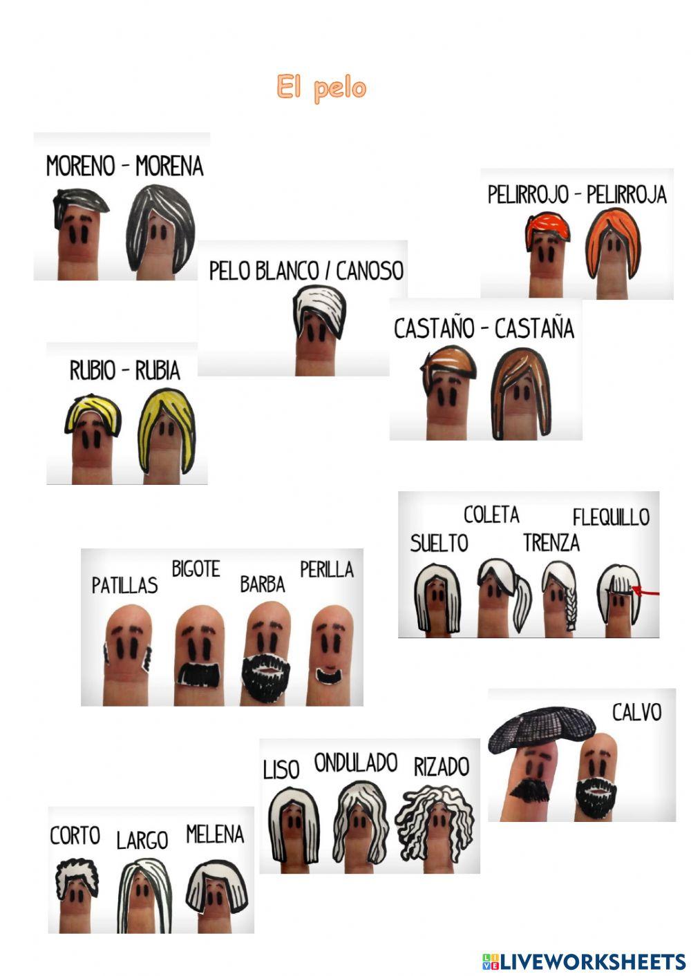 Tío Spanish: El Pelo