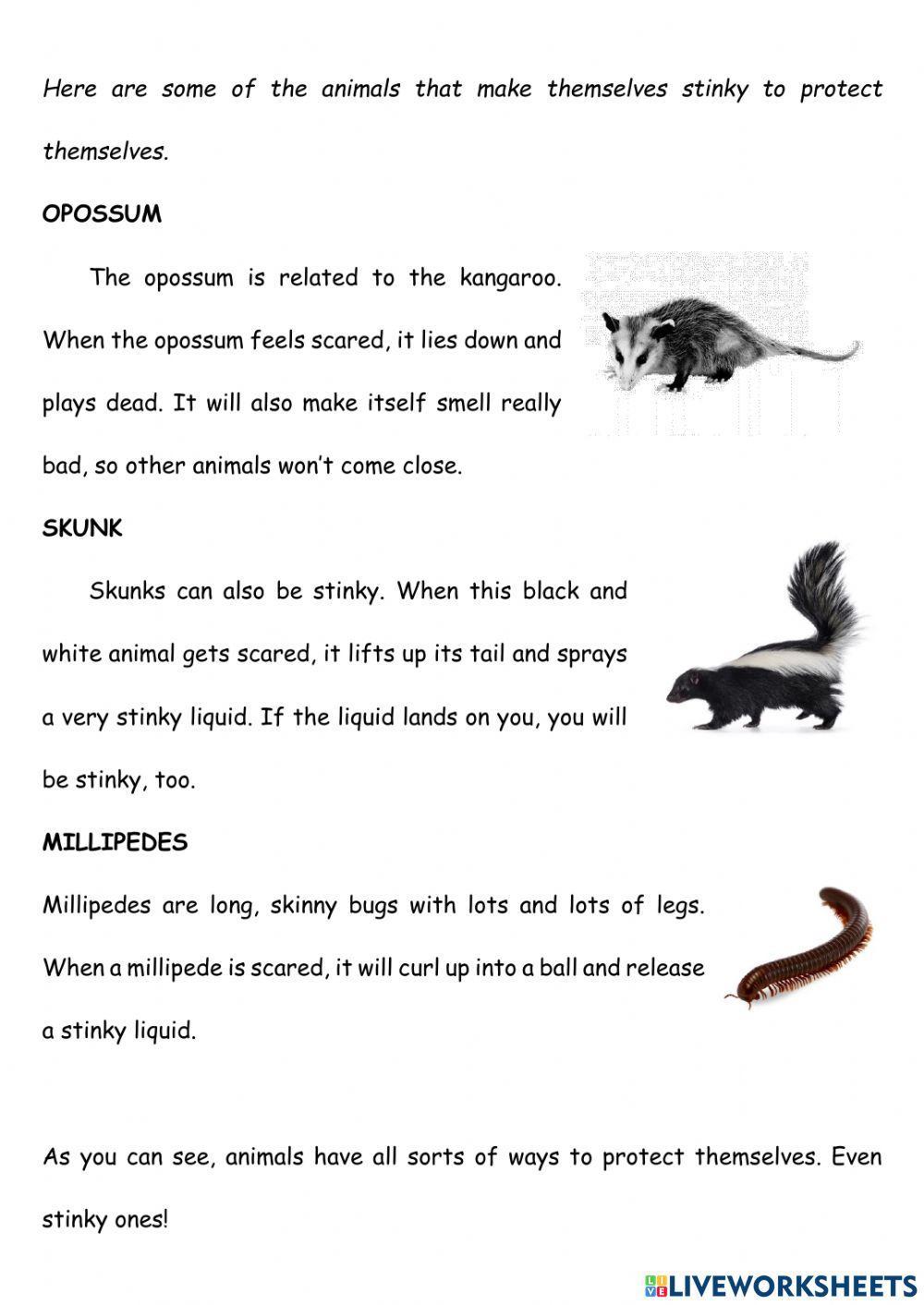 Reading Comprehension