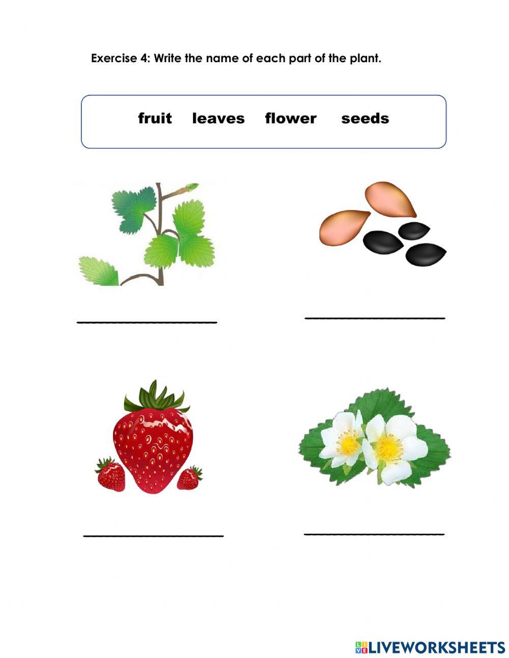 Social Studies English Exam 3rd Period