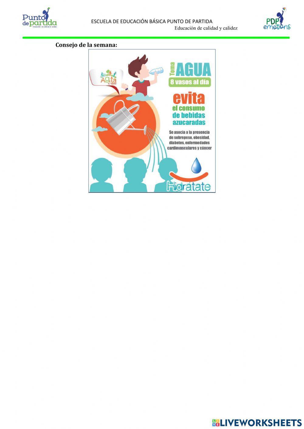 Mitad, tercera y cuarta parte