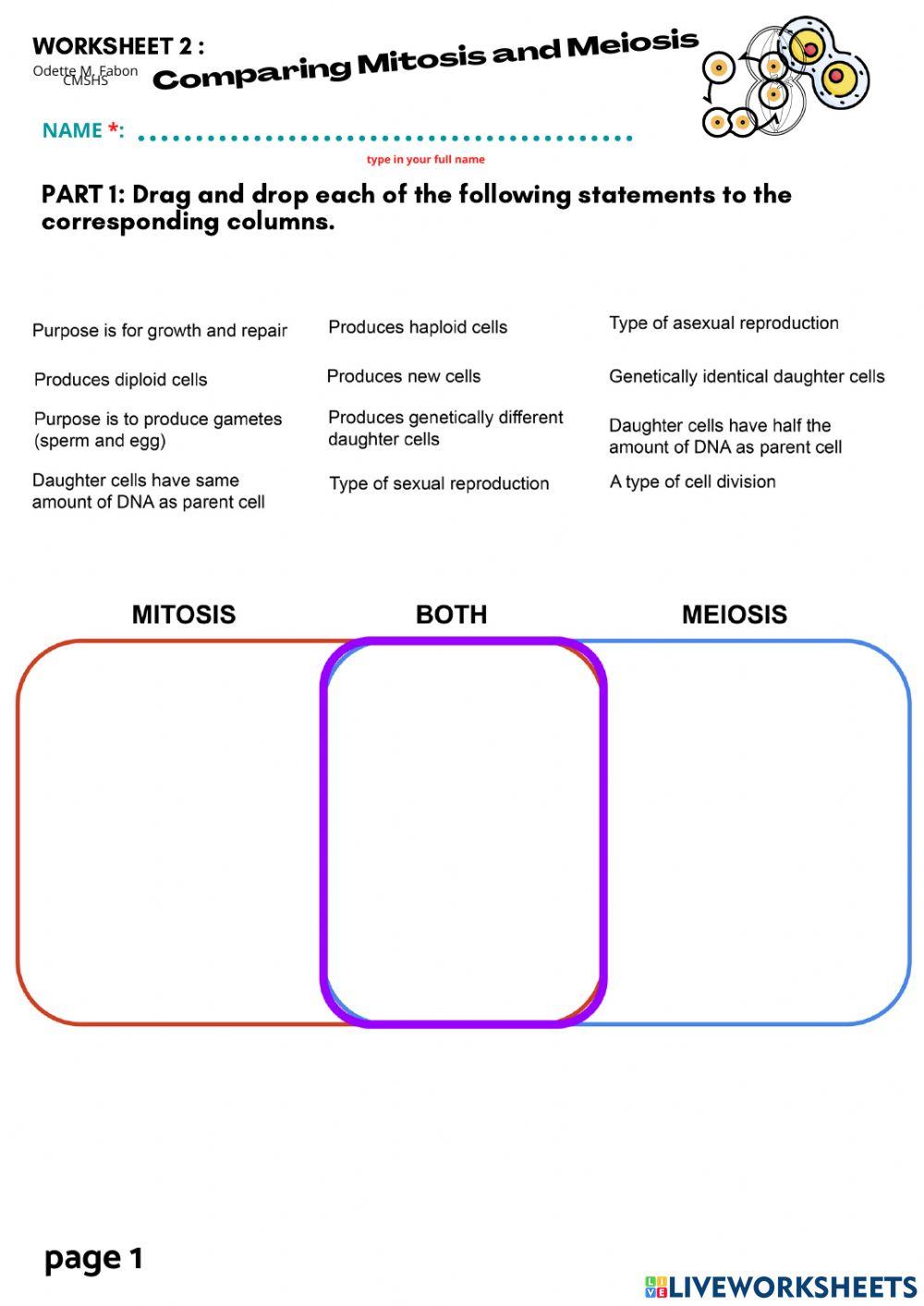 Comparing Mitosis And Meiosis Worksheet Key Exploring Mitosis And