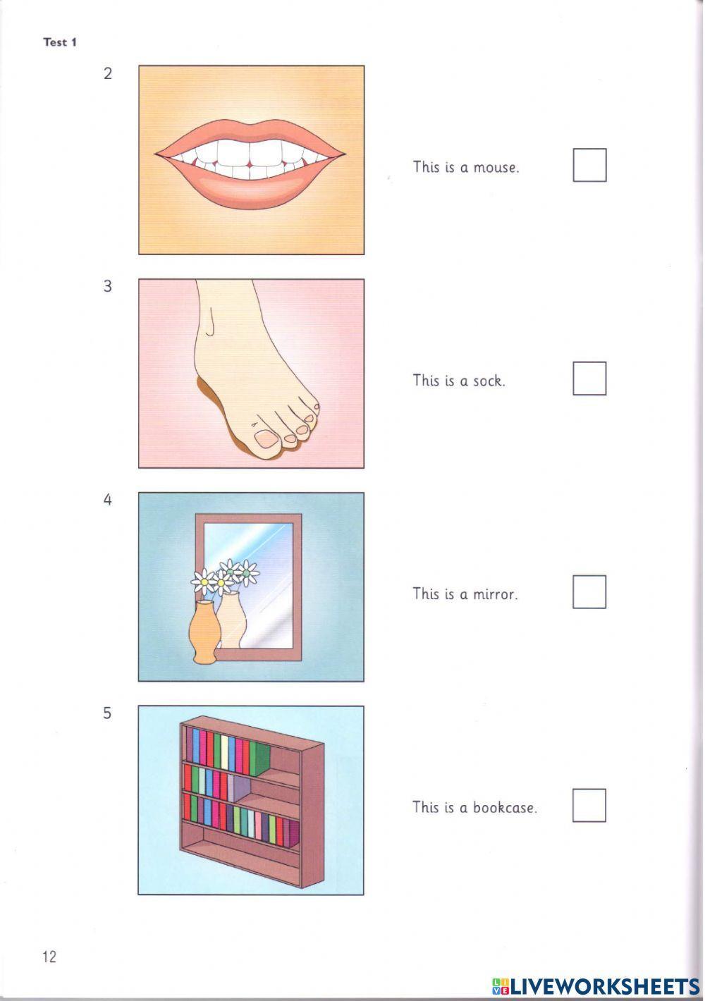 Starters 8 test 1 reading and writing
